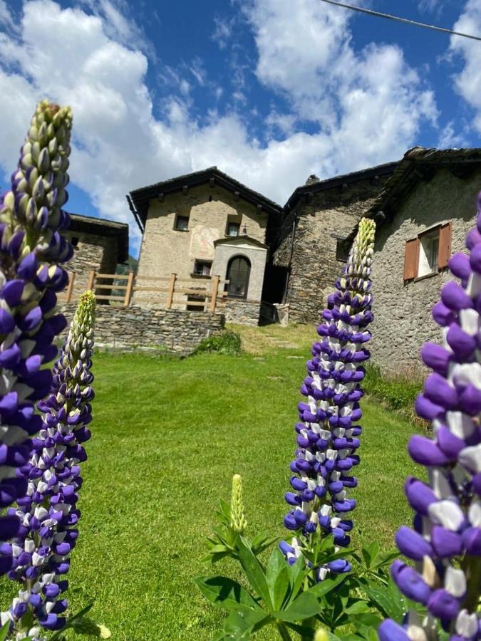 Hotel Casa Alpina San Luigi Campodolcino Exterior foto